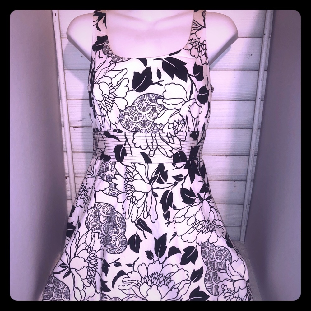Donna Rocco dress